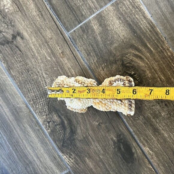 Vintage Dog w Hat * Made of Tiny Sea Shells 7” Tall * Adorable Figurine - Picture 5 of 5